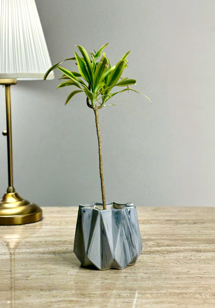 Alp Ceramic Planter