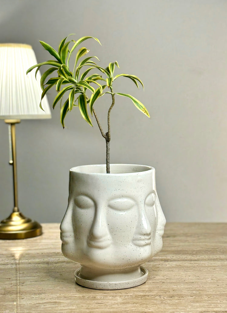 Anek Mukham Ceramic Planter