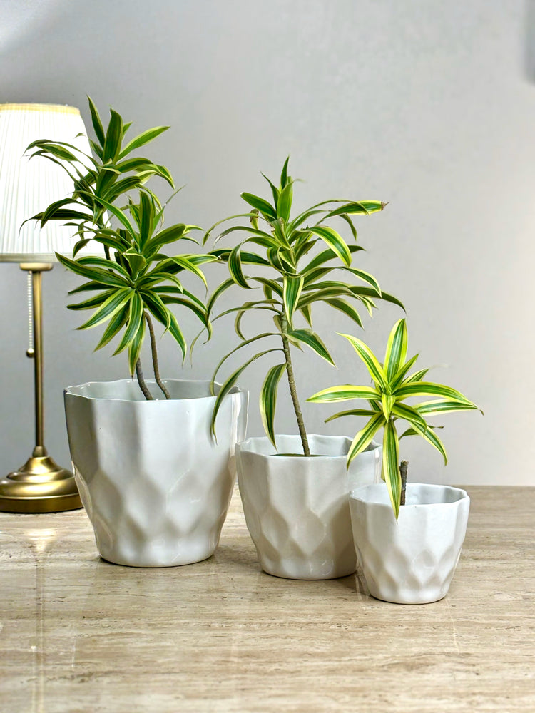 Heerkam Ceramic Planter Set