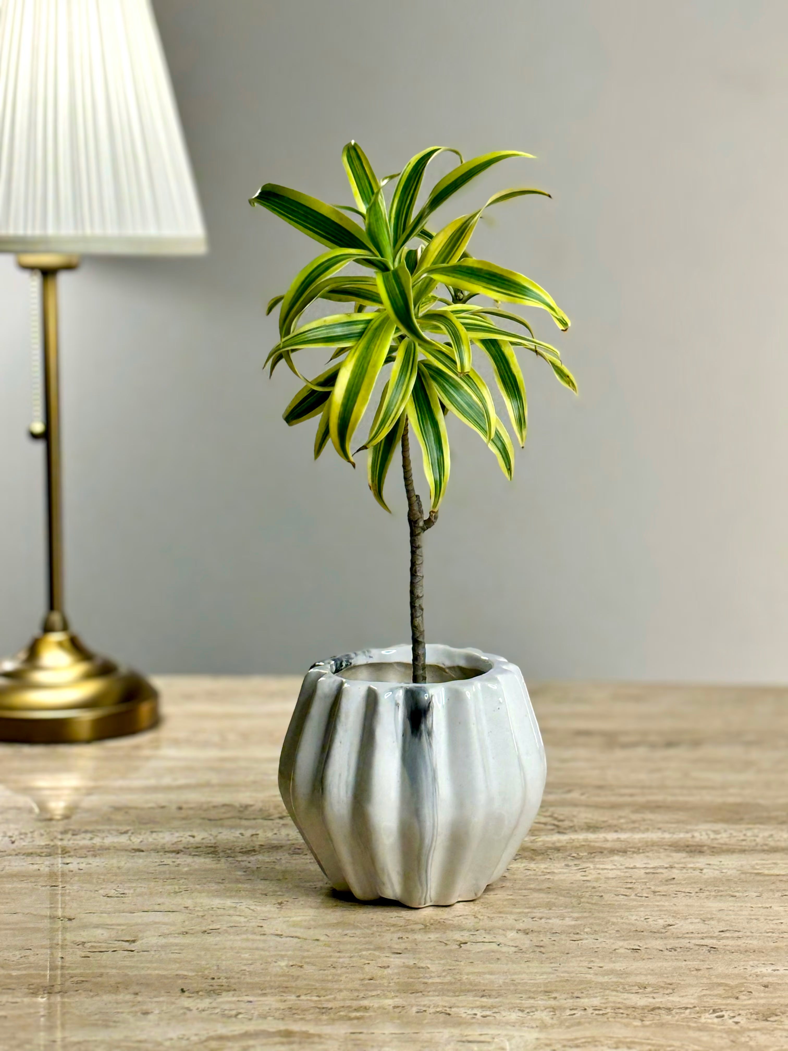 Laghu Ceramic Planter