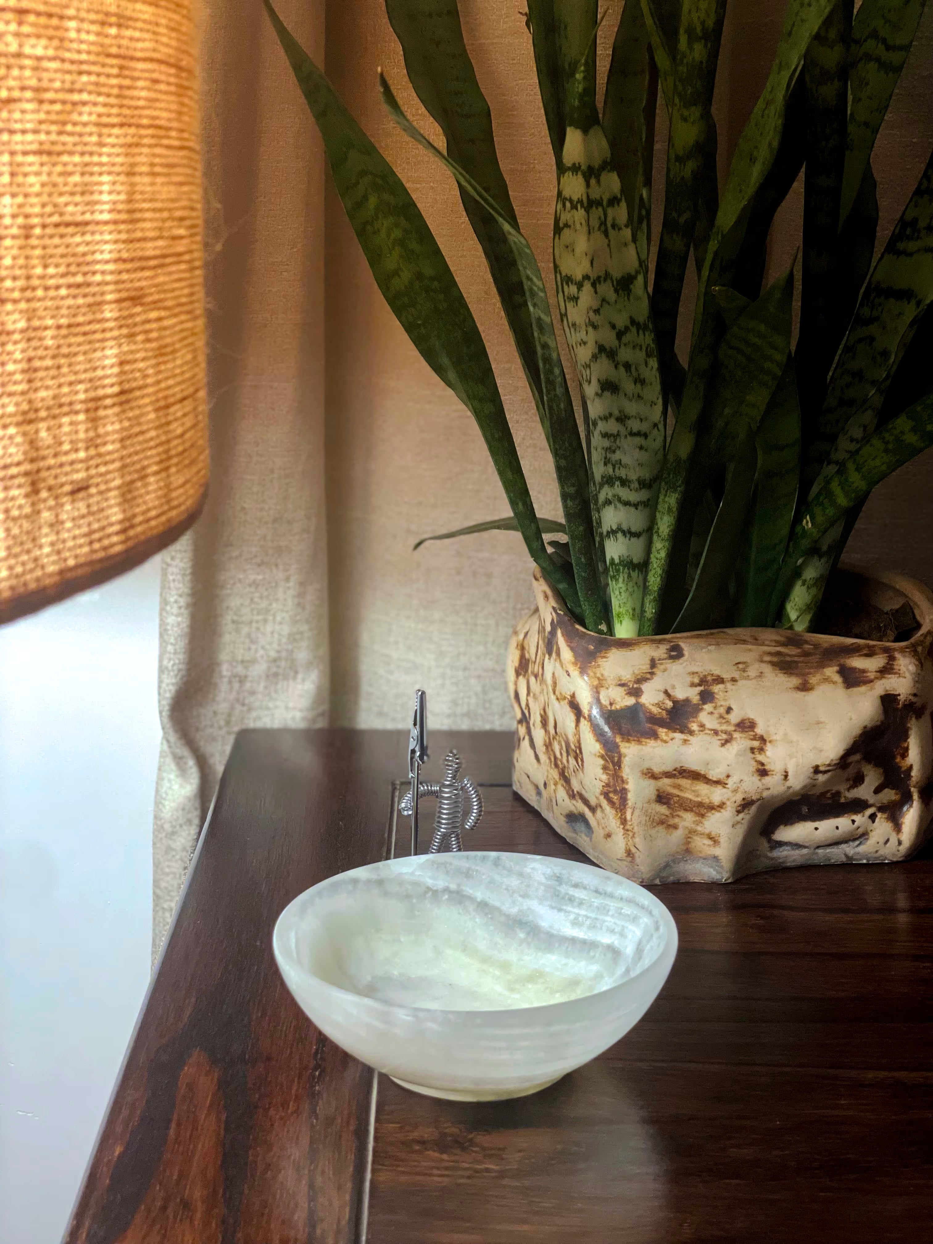 Decorative bowl on a wooden surface with a plant in the background