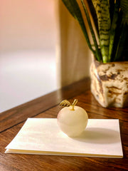 Decorative apple sculpture on a white napkin with a plant in the background