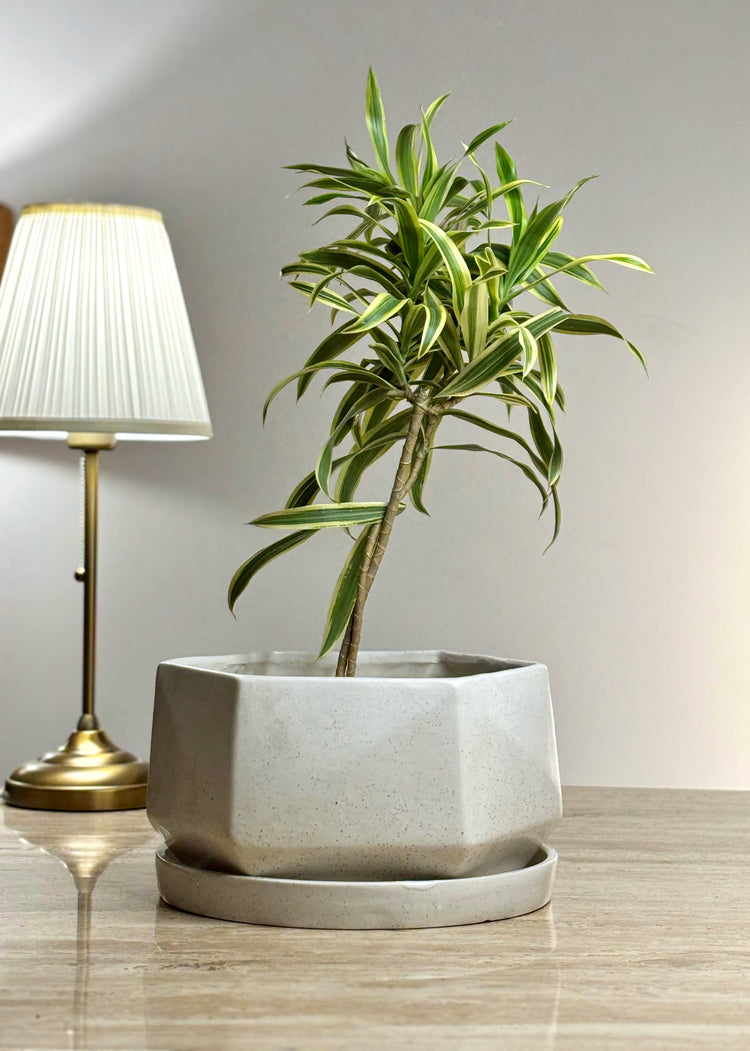 Shat Ceramic Planter