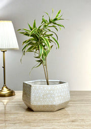 Shat Tara Ceramic Planter
