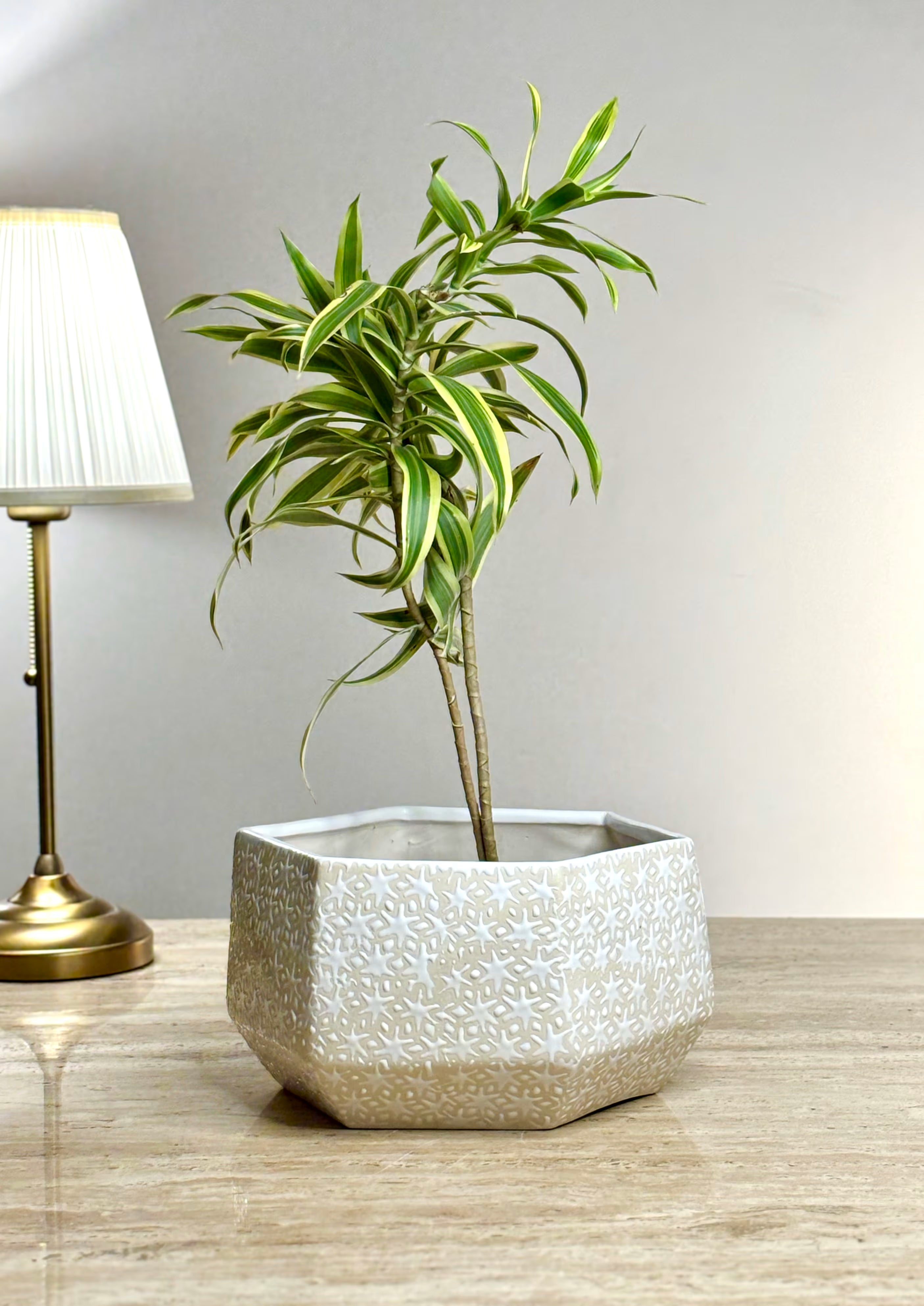 Shat Tara Ceramic Planter