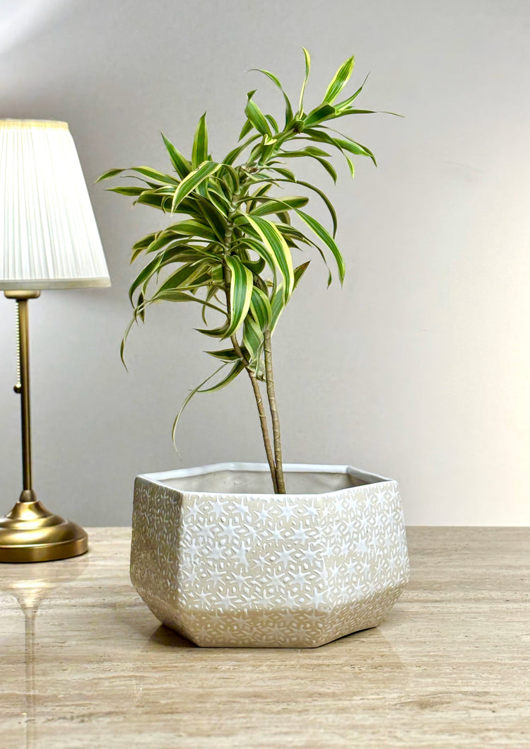 Shat Tara Ceramic Planter
