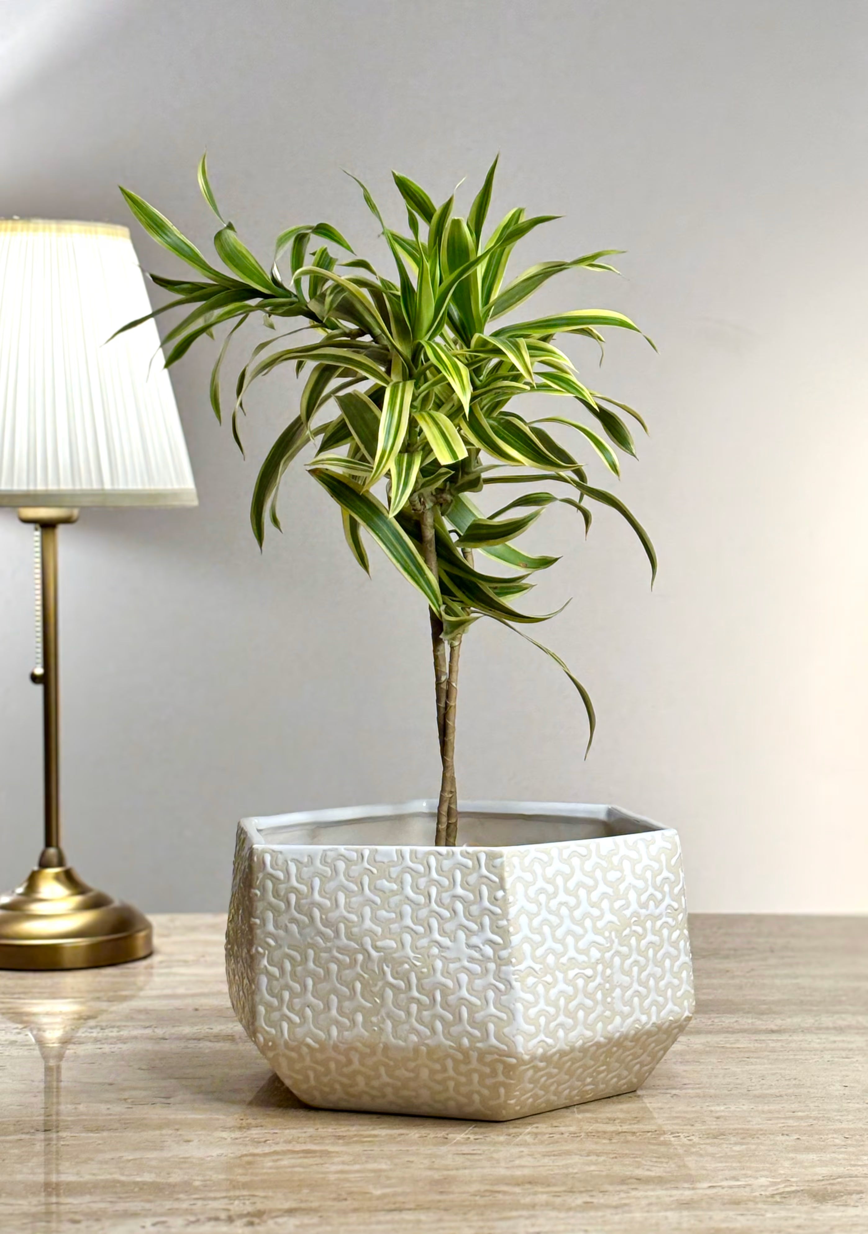Shat Trikon Ceramic Planter