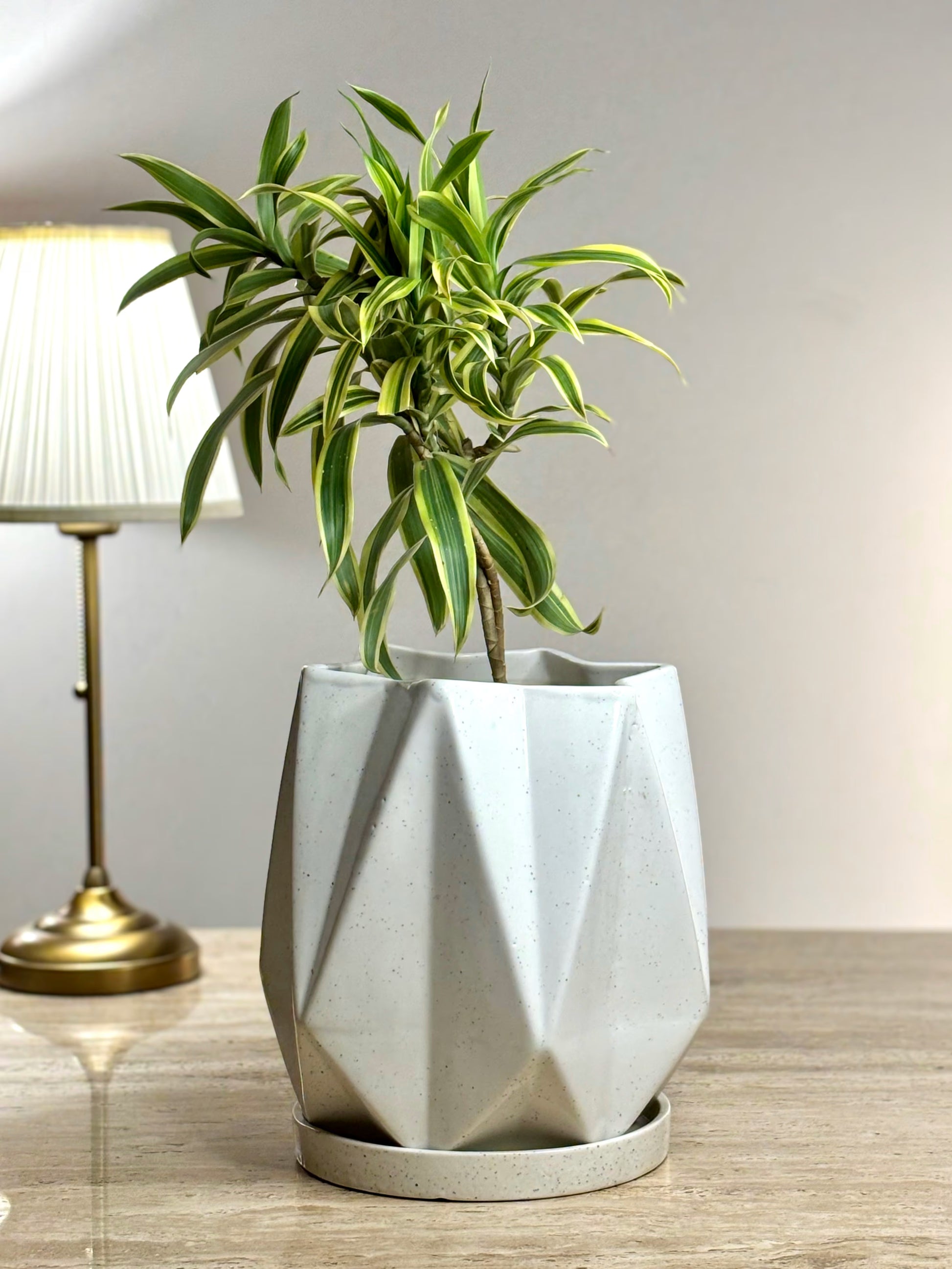 grey ceramic plant pot Buy Tara Ceramic Planter for Home Decor and Storage – Tukri Store