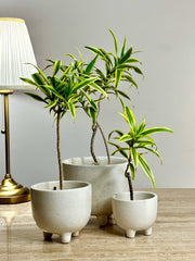 Tri Ceramic Planter Set
