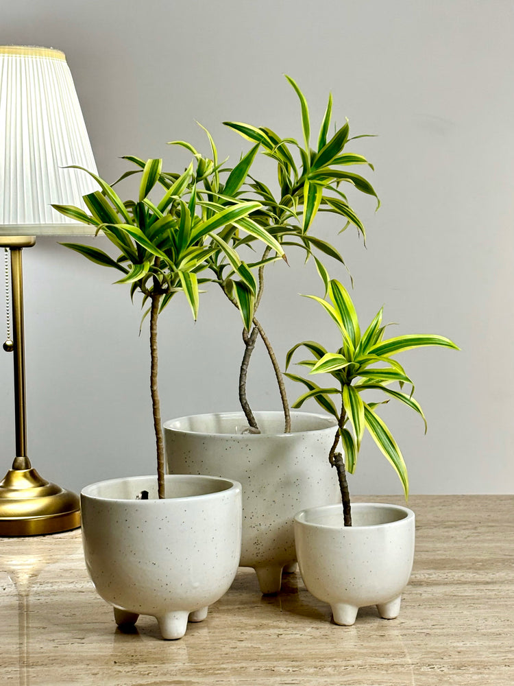 Tri Ceramic Planter Set
