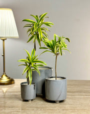 Varna Ceramic Planter