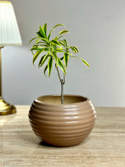 Vrit Ceramic Planter