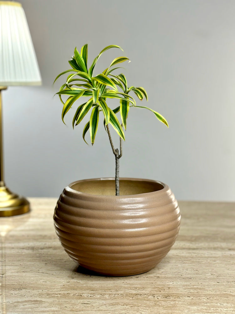 Vrit Ceramic Planter