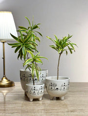 Warli Ceramic Planter Set