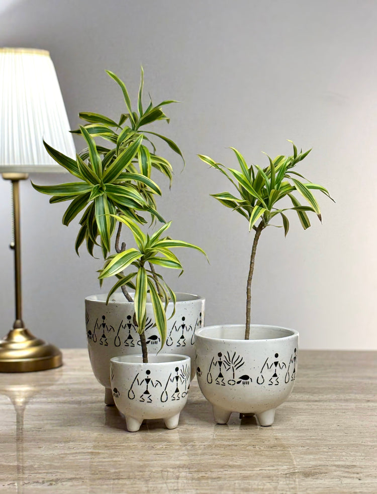 Warli Ceramic Planter Set